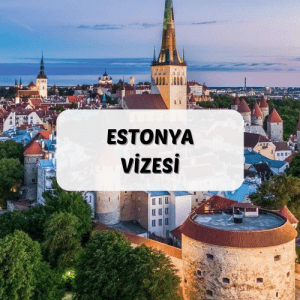 Estonya Vizesi
